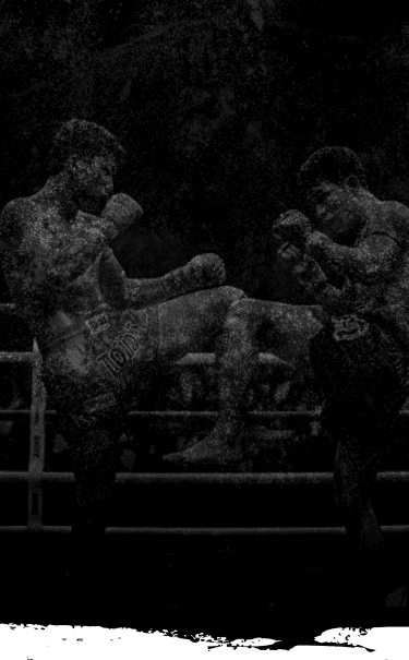 Banner principal: dois atletas de Muay Thai em posição de luta